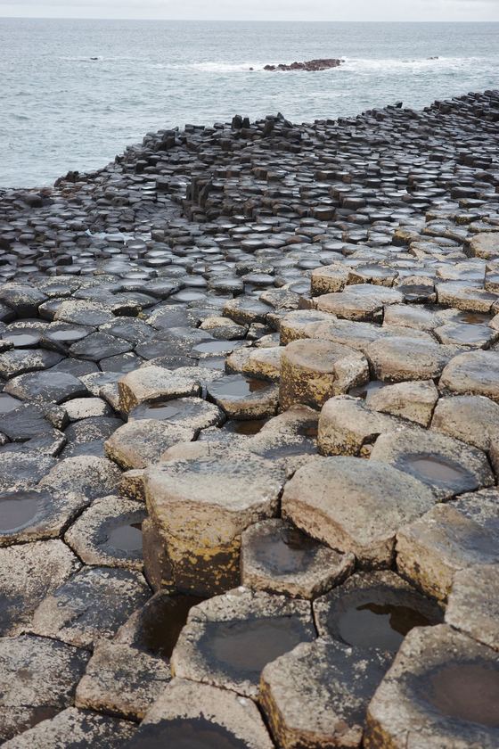 Giant's Causeway and the Dark Hedges: Basalt columns leading toward sea