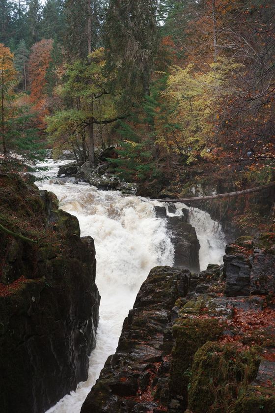 Dunkeld: Rapids winding through wooded gorge