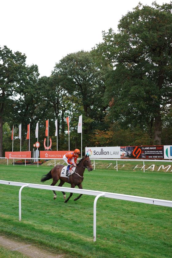 Hamilton: Chestnut horse galloping past rail