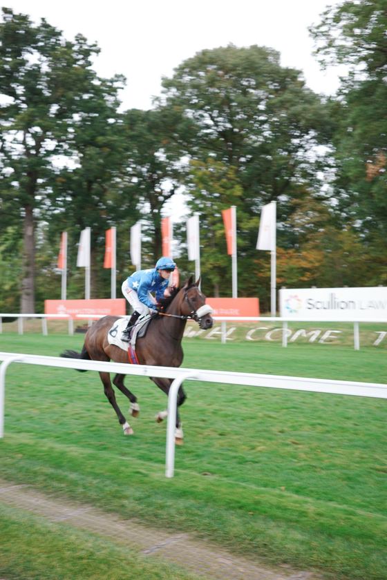Hamilton: Blue-clad jockey on gray horse