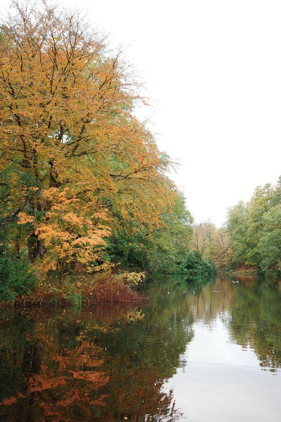 Crathes Castle: Autumn trees reflected in still water