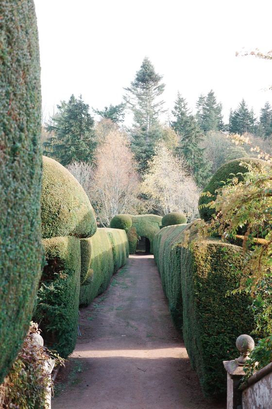 Crathes Castle: Garden path framed by sculpted hedges