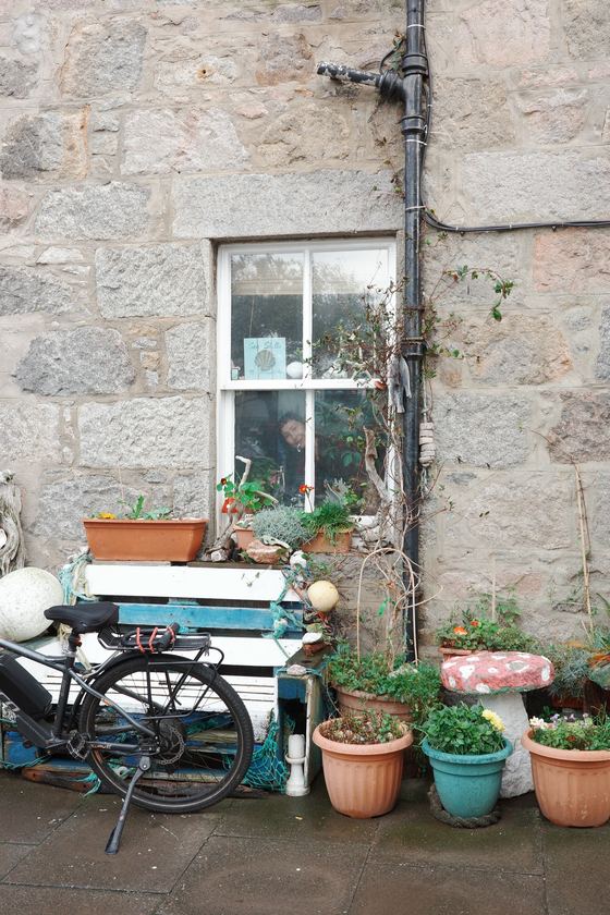 Footdee: Bicycle and flowerpots beneath window