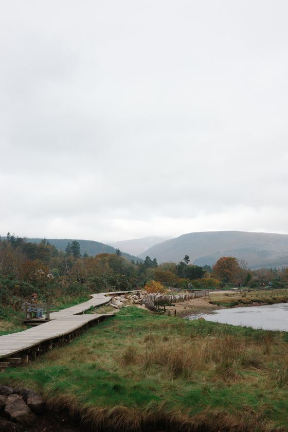 Arran: Boardwalk leading through coastal grass
