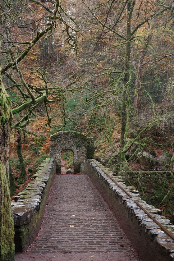 Dunkeld: Stone footbridge leading into woodland