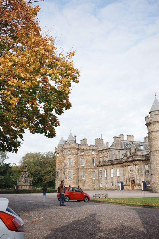 City: Autumn tree framing historic building