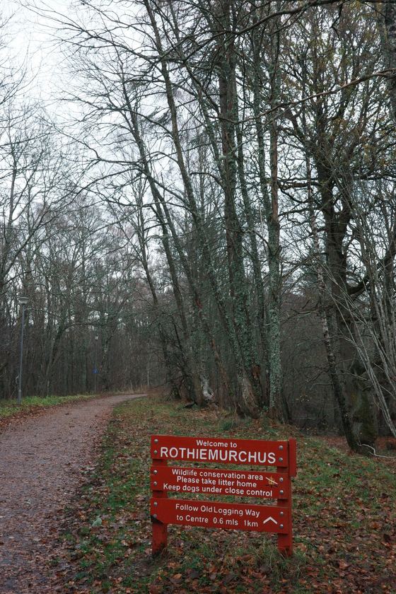 Rothiemurchus: Woodland path leading to red sign