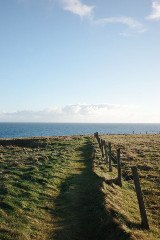 Wick: Grassy fenced path toward horizon