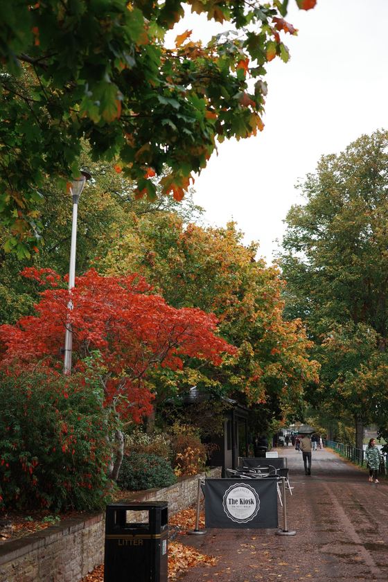 Inverness: Autumn trees framing a path