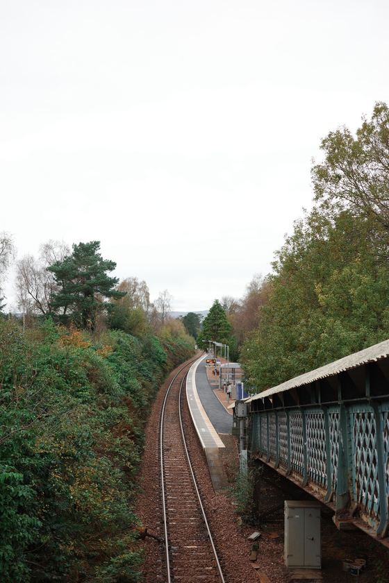 Hill House: Curving walkway toward garden building