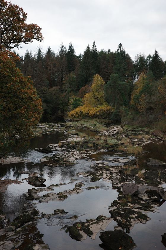 River Clyde: Rocky river below autumn woods