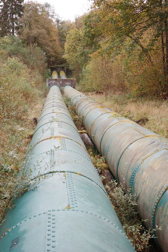River Clyde: Pipes leading into the woodland