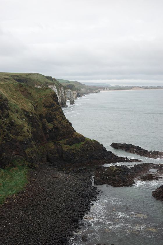 Giant's Causeway and the Dark Hedges: Curving cliffs above the sea