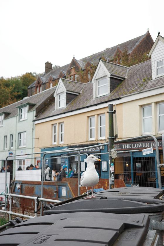 Portree: Pastel shopfronts along village street