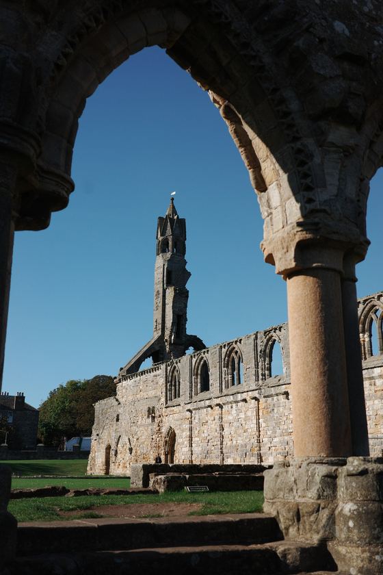 Cathedral and Castle: Ruined tower framed by stone arch