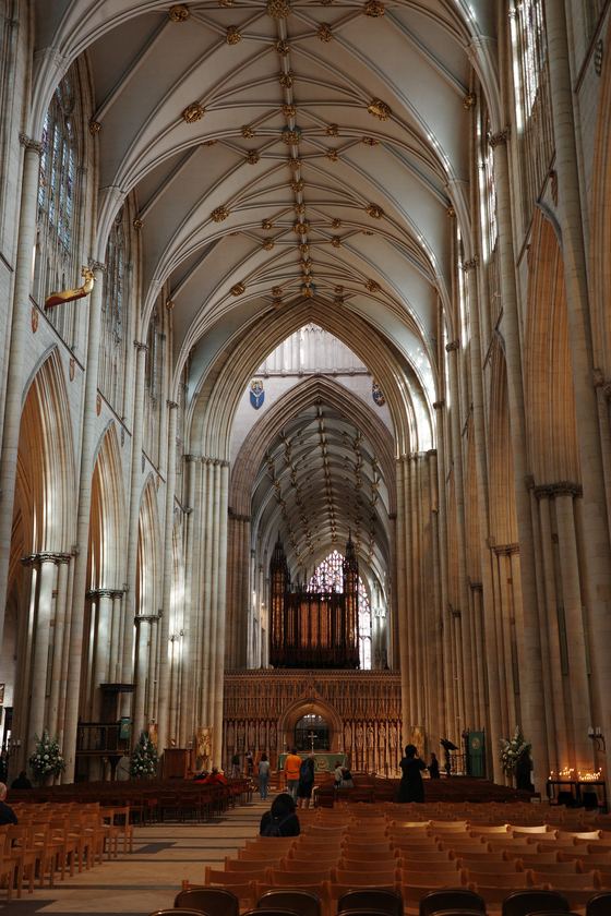 York: Vaulted cathedral nave receding to altar