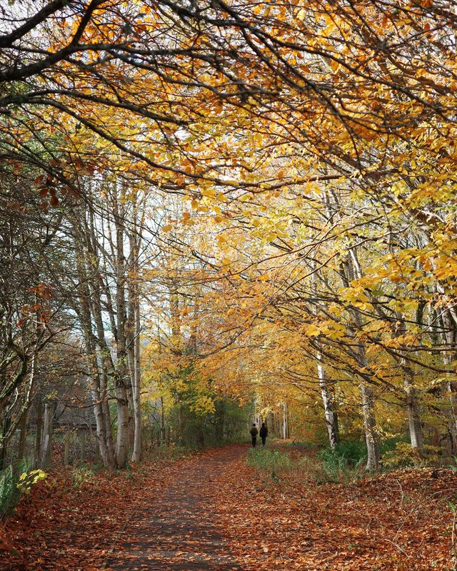 R Dunkeld