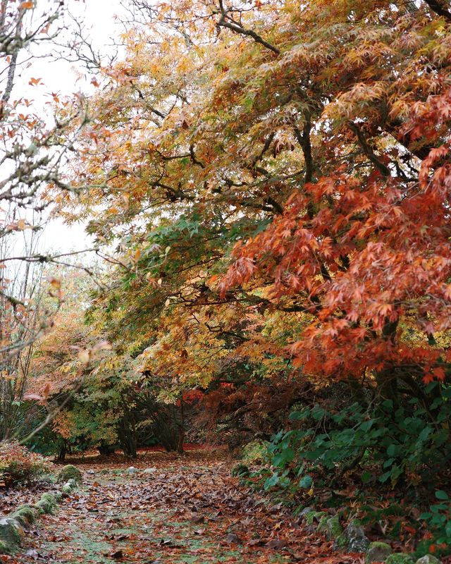 Loch Lomond, 24 October