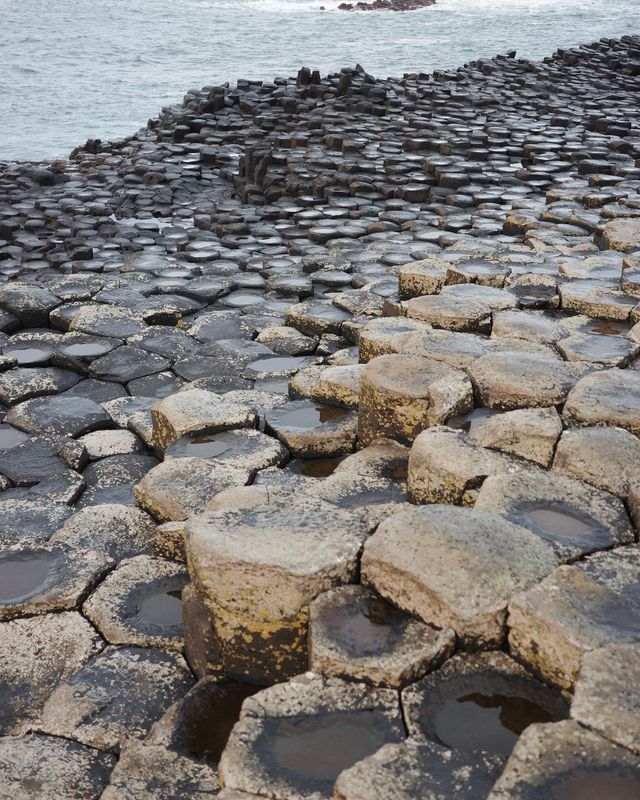 Giant's Causeway, 20 November